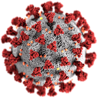 An electron microscope view of a virus